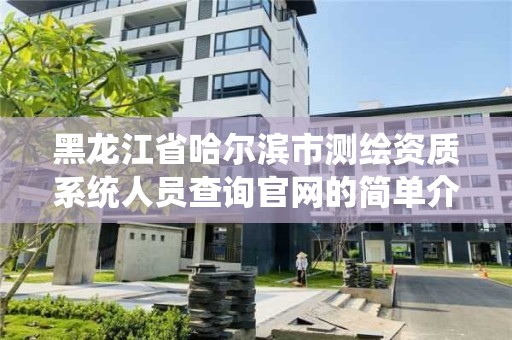 黑龙江省哈尔滨市测绘资质系统人员查询官网的简单介绍