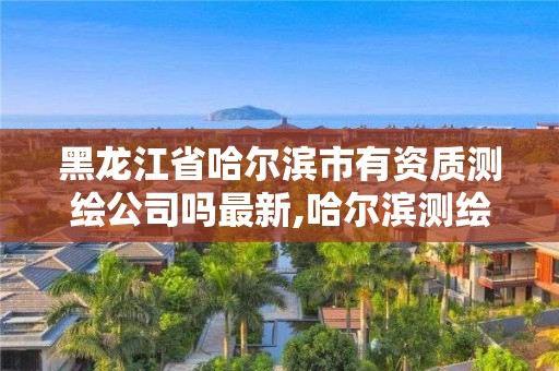 黑龙江省哈尔滨市有资质测绘公司吗最新,哈尔滨测绘仪器检测。