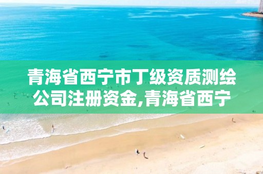 青海省西宁市丁级资质测绘公司注册资金,青海省西宁市测绘院。