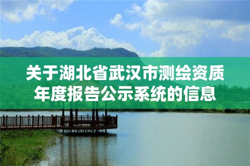 关于湖北省武汉市测绘资质年度报告公示系统的信息