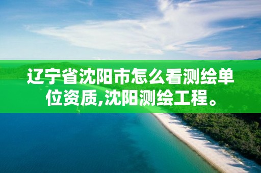 辽宁省沈阳市怎么看测绘单位资质,沈阳测绘工程。