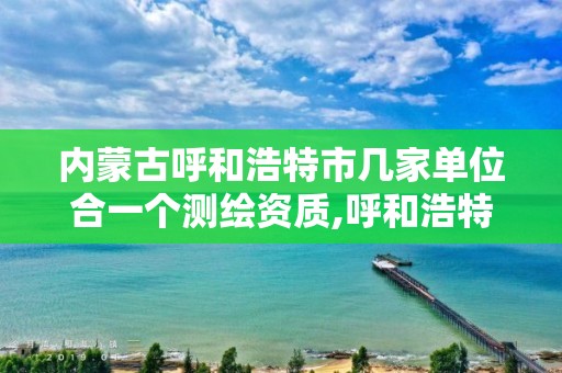 内蒙古呼和浩特市几家单位合一个测绘资质,呼和浩特市工程测量招聘信息。