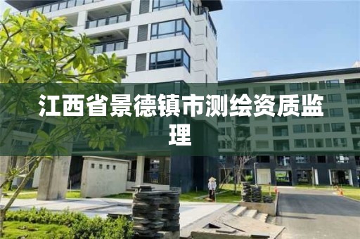 江西省景德镇市测绘资质监理