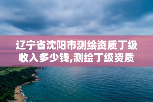 辽宁省沈阳市测绘资质丁级收入多少钱,测绘丁级资质条件。