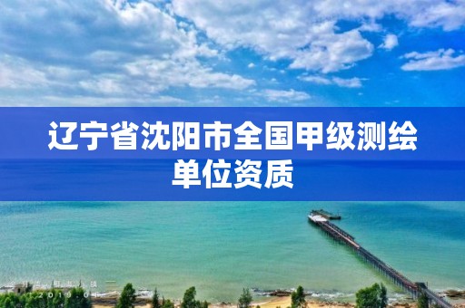 辽宁省沈阳市全国甲级测绘单位资质