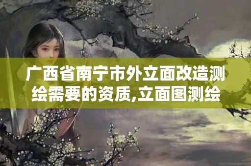 广西省南宁市外立面改造测绘需要的资质,立面图测绘收费标准。