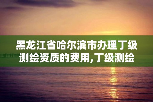 黑龙江省哈尔滨市办理丁级测绘资质的费用,丁级测绘资质申请需要什么仪器。