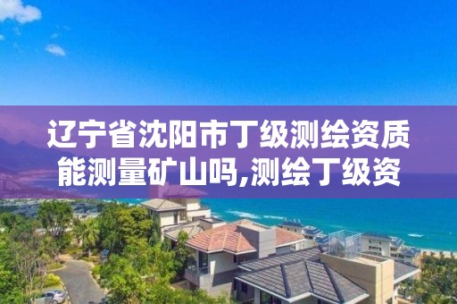 辽宁省沈阳市丁级测绘资质能测量矿山吗,测绘丁级资质人员条件。