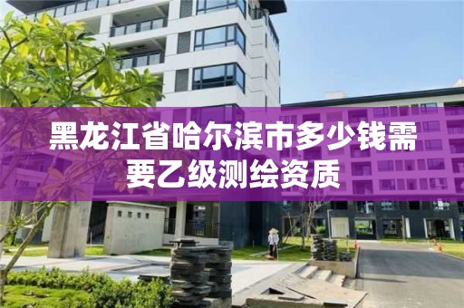 黑龙江省哈尔滨市多少钱需要乙级测绘资质