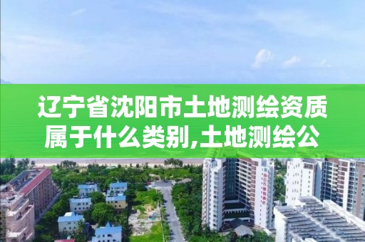 辽宁省沈阳市土地测绘资质属于什么类别,土地测绘公司属于什么公司。