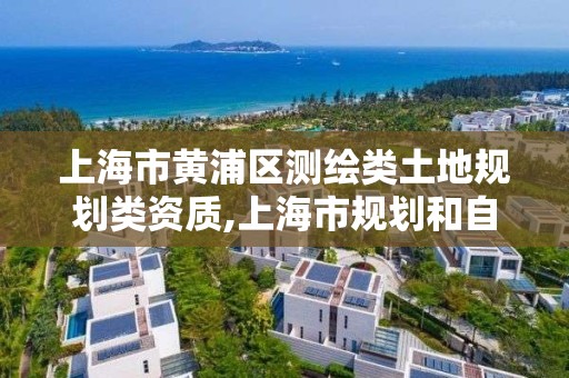 上海市黄浦区测绘类土地规划类资质,上海市规划和自然资源局 测绘调查处。