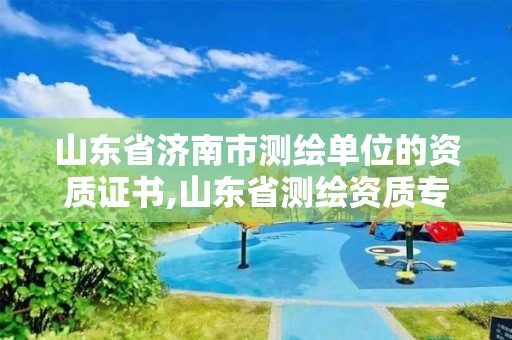 山东省济南市测绘单位的资质证书,山东省测绘资质专用章。