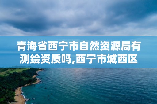 青海省西宁市自然资源局有测绘资质吗,西宁市城西区测绘院。