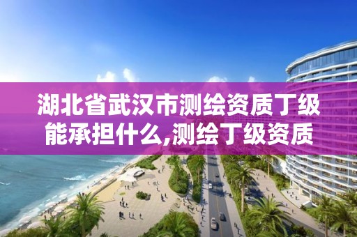 湖北省武汉市测绘资质丁级能承担什么,测绘丁级资质承接范围。