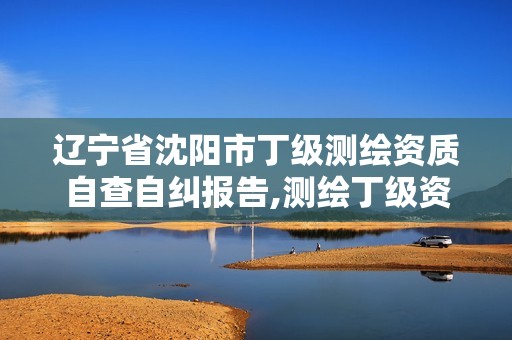 辽宁省沈阳市丁级测绘资质自查自纠报告,测绘丁级资质人员条件。