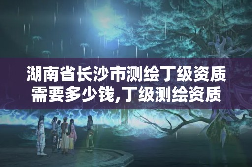 湖南省长沙市测绘丁级资质需要多少钱,丁级测绘资质申请需要什么仪器。