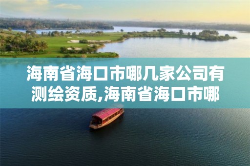 海南省海口市哪几家公司有测绘资质,海南省海口市哪几家公司有测绘资质的。