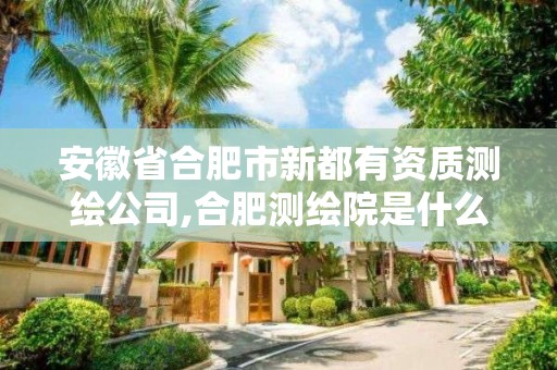 安徽省合肥市新都有资质测绘公司,合肥测绘院是什么单位。