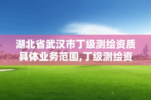 湖北省武汉市丁级测绘资质具体业务范围,丁级测绘资质业务范围有哪些。