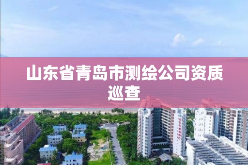 山东省青岛市测绘公司资质巡查