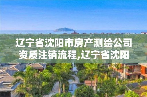 辽宁省沈阳市房产测绘公司资质注销流程,辽宁省沈阳市房产测绘公司资质注销流程图。