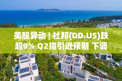 美股异动 | 杜邦(DD.US)跌超9% Q2指引逊预期 下调全年业绩指引