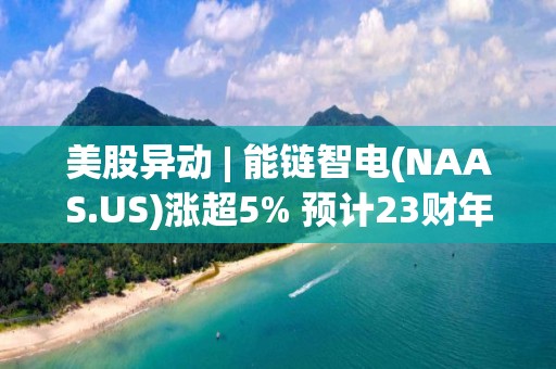 美股异动 | 能链智电(NAAS.US)涨超5% 预计23财年净收入将在5-6亿元人民币之间