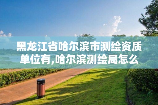 黑龙江省哈尔滨市测绘资质单位有,哈尔滨测绘局怎么样。