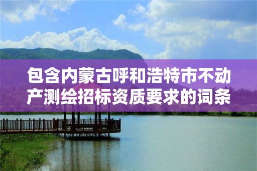 包含内蒙古呼和浩特市不动产测绘招标资质要求的词条