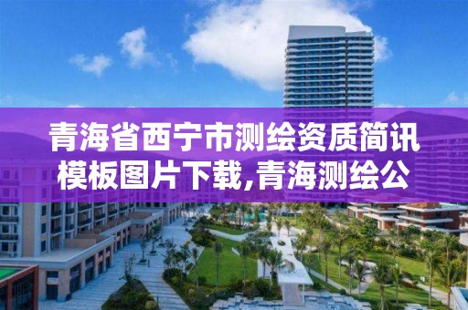 青海省西宁市测绘资质简讯模板图片下载,青海测绘公司成员名单。