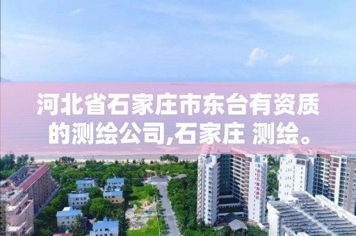 河北省石家庄市东台有资质的测绘公司,石家庄 测绘。