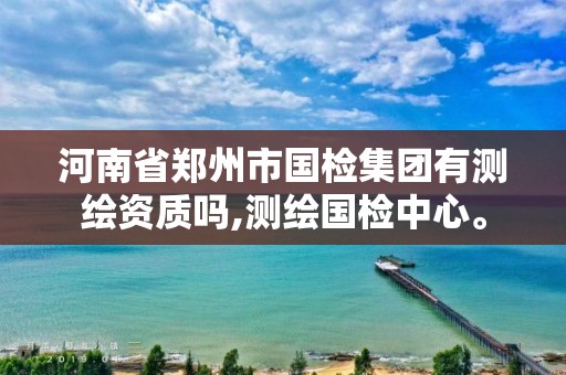 河南省郑州市国检集团有测绘资质吗,测绘国检中心。