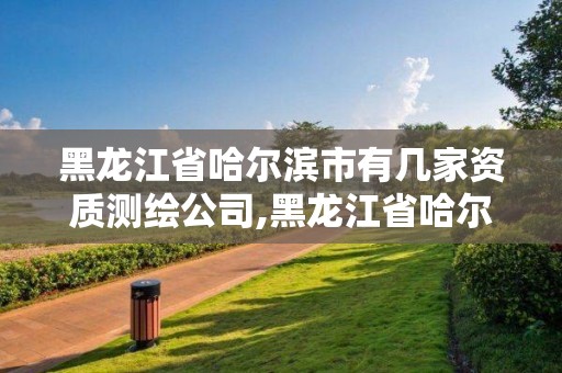 黑龙江省哈尔滨市有几家资质测绘公司,黑龙江省哈尔滨市有几家资质测绘公司啊。