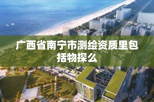 广西省南宁市测绘资质里包括物探么