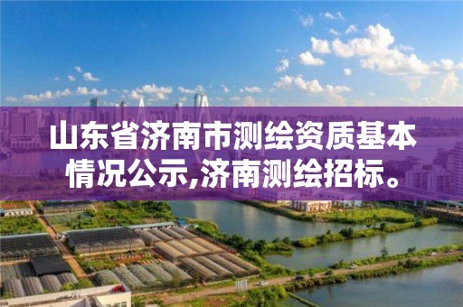 山东省济南市测绘资质基本情况公示,济南测绘招标。