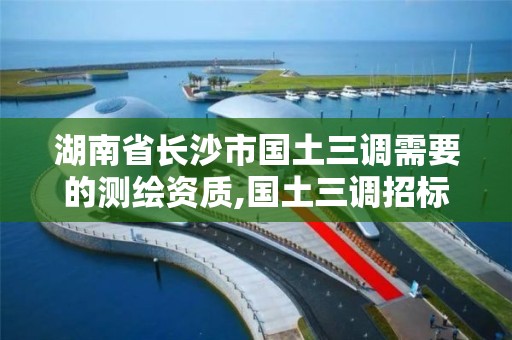 湖南省长沙市国土三调需要的测绘资质,国土三调招标。