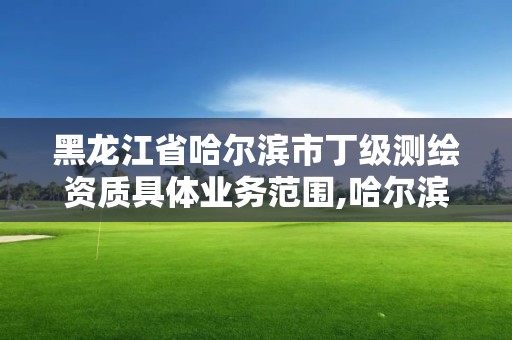 黑龙江省哈尔滨市丁级测绘资质具体业务范围,哈尔滨测绘地理信息局招聘公告。