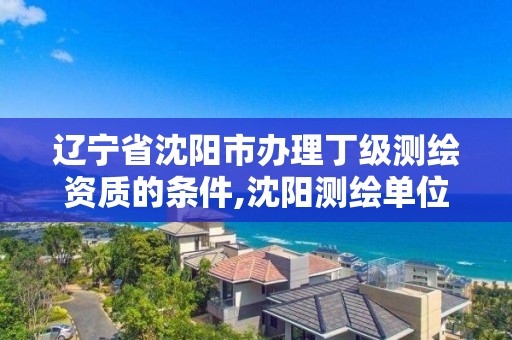 辽宁省沈阳市办理丁级测绘资质的条件,沈阳测绘单位。