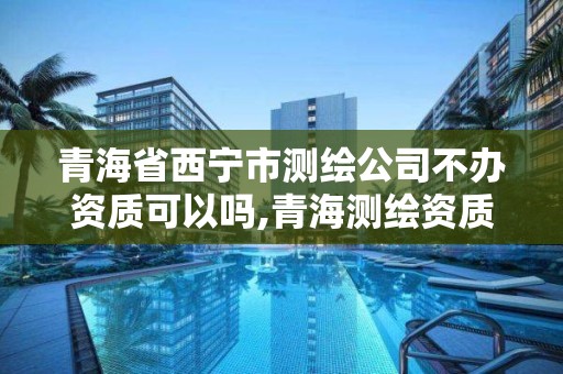 青海省西宁市测绘公司不办资质可以吗,青海测绘资质办理。