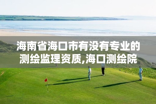 海南省海口市有没有专业的测绘监理资质,海口测绘院。