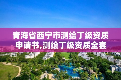 青海省西宁市测绘丁级资质申请书,测绘丁级资质全套申请文件。