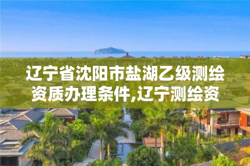 辽宁省沈阳市盐湖乙级测绘资质办理条件,辽宁测绘资质单位。