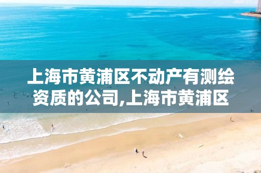 上海市黄浦区不动产有测绘资质的公司,上海市黄浦区不动产有测绘资质的公司。