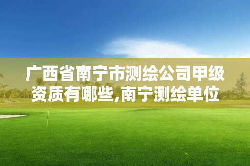 广西省南宁市测绘公司甲级资质有哪些,南宁测绘单位排名。