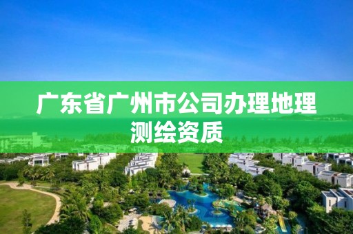 广东省广州市公司办理地理测绘资质