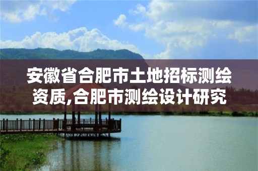 安徽省合肥市土地招标测绘资质,合肥市测绘设计研究院是国企吗。