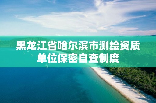 黑龙江省哈尔滨市测绘资质单位保密自查制度