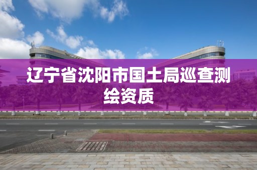 辽宁省沈阳市国土局巡查测绘资质