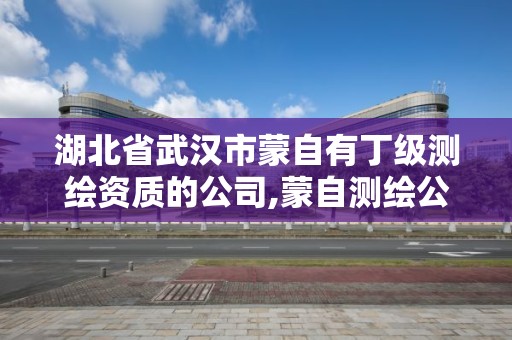 湖北省武汉市蒙自有丁级测绘资质的公司,蒙自测绘公司排名。