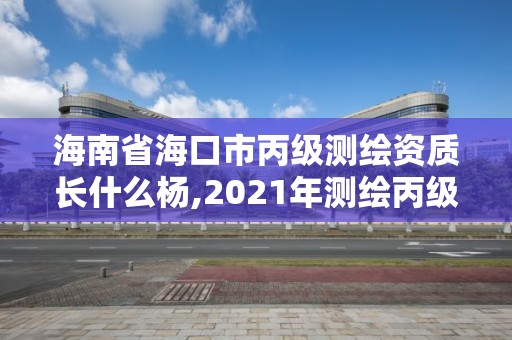 海南省海口市丙级测绘资质长什么杨,2021年测绘丙级资质申报条件。